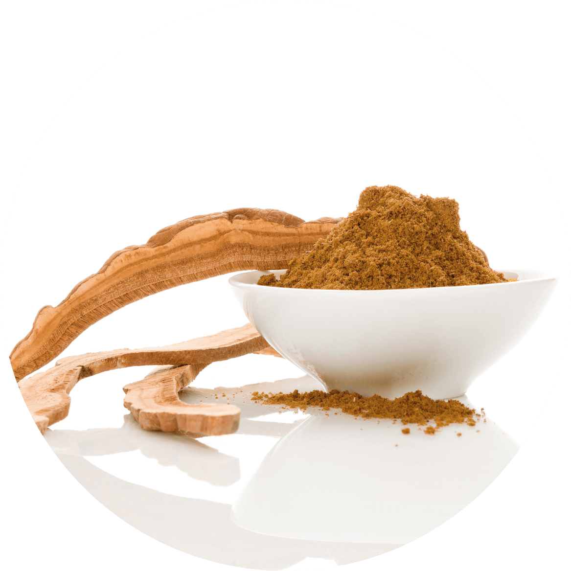 reishi