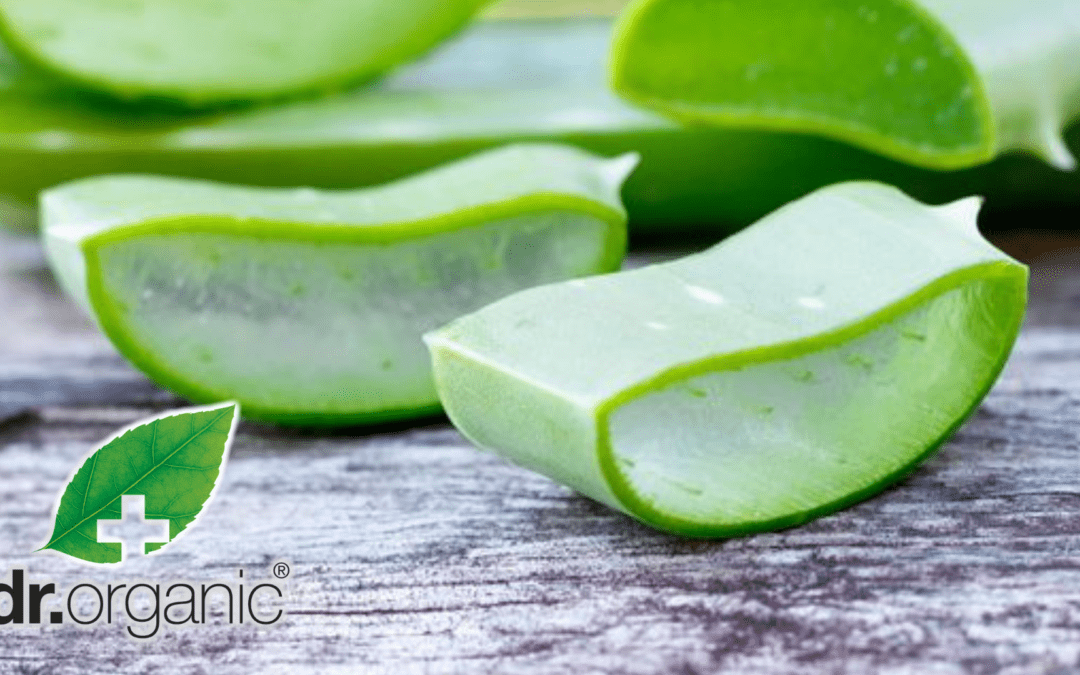 Tetőtől-talpig szépít az Aloe vera